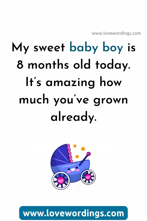 Happy 8 Months Baby Boy Captions and Quotes